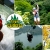 [Imagen:¡Paga Q145 en vez de Q295 por 1 Día de Aventura con: Canopy de Bosque y de Laguna + Rappel + Columpio Gigante + Balsa con Remos + Caminata en Bosque Virgen en Parque Calderas!]
