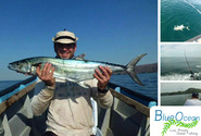[Imagen:¡Paga $100 en lugar de $250 por 5 horas en el tour de pesca “Reef Fishing Trip” con Blue Ocean!]