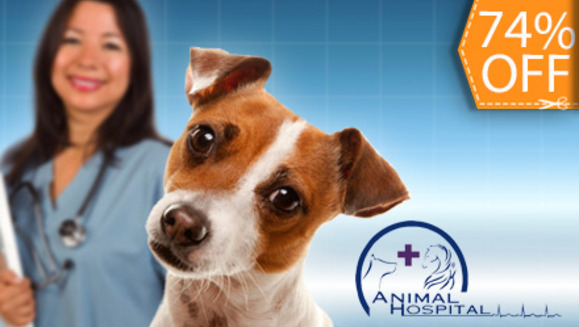 [Imagen:¡Mascotas sanas y limpias! ¡Paga $15 en lugar de $56.75 por Chequeo Veterinario + Vacuna Antirrábica + Desparasitación +  Hemograma + Baño y Más en Animal Hospital!]