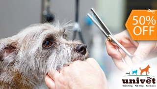 [Image: Grooming para Tu Mascota: Baño + Corte y Cepillado de Pelo + Limpieza de Oídos y Másm]