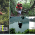 [Image: ¡Paga Q145 en vez de Q295 por 1 Día de Aventura con: Canopy de Laguna + Rappel + Columpio Gigante + Balsa con Remos + Caminata!m]