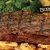 [Image: ¡Paga $19.99 en Vez de $41.83 por 1 Entrada de Torre de Aros de Cebolla + 2 Platos a Elección entre: Chicken Stir Fry, Mexican Burger, Hawaiian Chicken, Sesame Steak, Chicken Fajitas, Monte Cristo Sándwich + 2 Margaritas, Limonadas o Naranjadas!m]