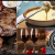 [Image: ¡Paga Q105 en lugar de Q299 por Parrillada Premium para 2 con: 1 Libra de Lomito o Puyazo + Entrada de Queso Fundido + Guarniciones de Papa y Ensalada + 2 Copas de Vino o Bebidas Naturales!m]