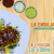 [Image: ¡Paga Q49 en lugar de Q99 por All You Can Eat &amp; Drink: Tacos y Cerveza!m]