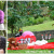 [Image: ¡Paga Q115 en lugar de Q350 por Sesión Fotográfica del Día del Cariño hasta para 5 Personas que Incluye: Sesión de 20 Minutos + Set Temático al Aire Libre + 12 Fotografías Digitales en Alta Resolución + 2 Impresiones 5x7!m]