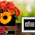 [Image: ¡Paga $19 en Lugar de $38 por Arreglo de 12 Flores a Elección: Rosas, Lirios, Gerberas o Girasoles! ¡Solo 103 Cupones Disponibles!m]