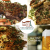 [Image: ¡Paga Q349 en lugar de Q655 por Cena para 2 que Incluye: 12 Onzas de Langostinos + 12 Onzas de Puyazo + 12 Onzas de Lomito + ALL YOU CAN DRINK de Cerveza de Barril, Sangría o Vino de la Casa!m]