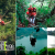 [Image: ¡Paga Q195 en vez de Q390 por 1 Día de Aventura Extrema con uso ILIIMITADO de: Canopy de Laguna + Rappel + Columpio Gigante + Balsa con Remos + Caminata en Bosque Virgen!m]