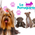 [Image: ¡Sin Restricción de Tamaño! ¡Paga Q75 en vez de Q175 por Grooming Completo para Mascota con: Baño de Avena y Coco + Corte de Pelo + Cepillado + Secado + Corte de Uñas + Limpieza de Glándulas y Oídos + Enjuague Bucal + Moño o Pañuelo y Más!m]