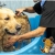[Image: ¡Sin Restricción de Tamaño! ¡Paga Q99 en vez de Q250 por Grooming para tu Mascota con: Baño Antipulgas, Corte, Cepillado, Limpieza de Glándulas Anales, Corte y Limado de Uñas, Limpieza de Oídos, Pañuelo y Perfume + Desparasitante + Pipeta Antipulgas!m]