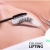 [Image: ¡Paga $12 en Lugar de $38 por Lifting (Estiramiento) de Pestañas + Depilación de Cejas!m]