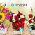 [Image: ¡Paga Q175 en lugar de Q295 por Hermoso Arreglo Floral a Elección entre: Red Bubble (Rosas Rojas y Claveles Blancos) Silvestre Petit (Rosas y Girasoles) o Caja de Rosas (Rosas y Lirios)!m]