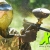 [Image: ¡Paga Q138 en vez de Q275 por Día de Diversión Extrema que Incluye: Paintball para 2 con 200 Paintballs + Equipo de Seguridad: Mascara, Chaleco y Marcadora + Tanque de CO2 + Uso del Campo + Entradas al Parque + 2 Combos de Pizza y 1 Bebida!m]