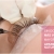 [Image: ¡Paga $12 en Lugar de $47 por Lifting de Pestañas + Pigmentación de Pestañas + Perfilación de Cejas + Aplicación de Henna en Cejas + Aplicación de Vitamina E en Cejas y Pestañas!m]