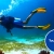 [Image: ¡Paga $35 en Lugar de $75 por Curso de Buceo para Adultos (Discover Scuba Diving) o Curso de Buceo para Niños (Bubble Maker) en el Lago de Coatepeque!m]