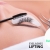 [Image: ¡Paga $12 en Lugar de $38 por Lifting (Estiramiento) de Pestañas + Depilación de Cejas!m]