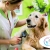 [Image: ¡Sin Restricción de Tamaño! ¡Paga Q135 en lugar de Q450 por Grooming para Tu Mascota con: Baño Medicado Antipulgas y Antigarrapatas + Estilizado de Pelo + Limado de Uñas + Limpieza de Glándulas y Oídos + Cepillado de Dientes + Desparasitante y Más!m]