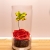 [Image: ¡Paga $20 en Lugar de $40 por Delicado Arreglo de 1 Rosa Preservada Tamaño XL + 1 Orquidea Artificial en Base Cilindrica de Cristal!m]