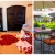 [Image: ¡Paga Q499 en Lugar de Q855 por Estadía Romántica para 2 con: 1 Noche de Hospedaje + Decoración con Pétalos de Rosa + Fresas con Chocolate + 1 Botella de Vino Tinto + 2 Desayunos Típicos Chapines + Impuestos Incluidos!m]