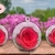 [Imagen:¡Paga $10 en Lugar de $18 por Lindo Arreglo de 1 Rosa Preservada (10 cm de Diámetro) en Base de Cristal!]