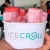 [Imagen:¡Paga $5.50 en Lugar de $10.50 por 3 Ice Cream Rolls Medianos!]