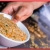 [Image: ¡A Domicilio o Para Llevar! ¡Paga $24. 95 en vez de $62.72 por Banquete para 4: 1 Spicy Chicken + 1 Lemon Chicken + 1 Teriyaki Steak + 1 Hibachi Chicken + 4 Porciones de Arroz Frito con Vegetales + 4 Limonadas!m]