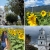 [Image: ¡Paga $30 en Lugar de $50 por Tour Guiado a Guatemala para 2 personas: Visita a Esquipulas + Finca de Girasoles + Asistencia Migratoria! ¡Solo 33 Cupones Disponibles!m]