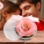 [Image: ¡Paga $10 en Lugar de $20 por Rosa Mediana en Esfera Pequeña de Acrílico!m]