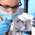 [Image: ¡Paga $18 en Lugar de $91 por 1 Perfil de Exámenes de Laboratorio a Elección Entre: General, Prenatal, Ejecutivo, Básico, Hepático, Laboral, Diabético, Renal o Digestivo!m]