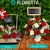 [Image: ¡Paga Q237 en Lugar de Q395 por Delicado Arreglo Floral a Elección entre: Box, Tierno, Pizarra o Amor con entrega a domicilio!m]