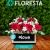 [Image: ¡Paga Q237 en Lugar de Q395 por Delicado Arreglo Floral a Elección entre: Box, Tierno, Pizarra o Amor con entrega a domicilio!m]