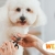 [Image: ¡Paga $10.50 en Lugar de $21 Por Grooming para Perro: Baño a Elección + Secado + Corte y Cepillado de Pelo + Corte y Limado de Uñas + Limpieza de Oídos + Limpieza de Glándulas Anales + Pañoleta o Moño + Perfumado + Revisión Física!m]