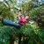 [Image: ¡Paga Q399 en vez de Q1,000 por Noche de Camping para 2 que Incluye: Canopy + Rappel de Árbol + Tirolesa Seca + Tirolesa Mojada + Piscina + Columpio Gigante + Caminata a Sendero del Quetzal!m]