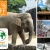 [Image: ¡Paga $27 en lugar de $55 por Tour Guiado a Guatemala que incluye visita a Zoológico de la Aurora, Oakland Mall y Paseo Cayalá + Asistencia Migratoria + Snacks con Travel Connections! ¡Sólo 147 cupones disponibles!m]