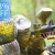 [Image: ¡Paga Q35 en lugar de Q75 por Paquete de Paintball (Kit de 75 Pulgas) que incluye: 75 Paintballs + Marcadora + Tanque CO2 + Máscara + Hooper + Chaleco Protector + Jersey en Bulldog Paintball Park!m]