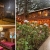 [Image: ¡Escapada con Clima Fresco! ¡Paga $37 en Lugar de $77 por Estadía de 1 Noche para 4 Personas en Habitación Doble + 2 Desayunos Típicos en Hotel y Restaurante La Posada del Cielo en El Pital, Chalatenango!m]