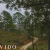 [Image: ¡Paga Q149 en vez de 250 por Day Pass para 2 en Sierra de Las Minas! Actividades de Montaña: Tour a La Piedra del Jardín, Pesca, Piscina Natural, Almuerzos y Bebidas a Elección y Más!m]