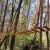[Image: ¡Paga Q659 en Vez de Q1,320 por Glamping para 2 con Snacks de Bienvenida + Daypass de Aventura: Senderos Ecológicos, Mirador, Rio, Puente Colgante, Fogata y Canchas + Actividad a Elección entre Cuatrimoto, Bicicletas, Picnic o Churrasquera!m]