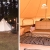 [Image: ¡Paga Q789 en Vez de Q1,575 por Glamping para hasta 4 con Snacks de Bienvenida + Daypass de Aventura: Senderos Ecológicos, Mirador, Rio, Puente Colgante, Fogata y Canchas + Actividad a Elección entre Cuatrimoto, Bicicletas, Picnic o Churrasquera!m]