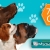 [Image: ¡Paga $15 en lugar de $64 por 3 Paquetes de Grooming Completo + 1 Plaquita Personalizada + 1 Pipeta para tu mascota y más en Kokysaurios Santa Elena!m]