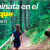 [Image: ¡Paga $55 en Lugar de $122 por Estadía de 1 Noche para 4 Personas + 2 Sopas de Gallina + 1 Quesadilla para Compartir + 4 Cafés + Tour en El Bosque + Fogata Nocturna y Más!m]