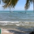 [Image: ¡Paga Q599 en Vez de Q1,300 por Estadía para 2 Adultos y 2 Niños en el Mar Caribe con: 1 Noche en Habitación Doble con A/C, WIFI, TV + 2 Desayunos Chapines + Aventuras Acuáticas (Paseo en Lancha a Punta de Palma, Waverunner, Snorkling) + Discoteca!m]