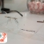 [Image: ¡Paga $110 en Lugar de $290 por Aro Bulova, Gwen Stefani, Liz Claiborn, Van Heusen o Lilly Pulirze + Lentes Blauk de Akkurat (Filtro para Luz Azul-Violeta de Dispositivos Electrónicos) + Examen Visual + Paño de Limpieza y Estuche!m]