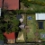 [Image: ¡Paga Q699 en Lugar de Q1,600 por Estadía hasta para 7 Personas en Habitación Tipo Cabaña + Uso de Lancha de Remos + Uso de Instalaciones (Jardines, Ping-Pong, Voleibol, Fogata) + Impuestos Incluidos!m]