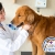 [Image: ¡Paga $16 en vez de $65.75 por Chequeo Veterinario + Vacuna Antirrábica o Desparasitación + Hemograma + 2 Baños y más en Animal Hospital!m]