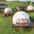 [Image: ¡Paga $150 en Vez de $300 por Estadía Para 2 en Glamping Compartido, Incluye: 1 Noche en Carpa de Lujo + Caminata con Guía + Transporte de Ida y Regreso con Aire + Transporte 4x4 + Alimentación! ¡Solo 12 Cupos Disponibles!m]