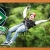 [Image: ¡Paga $10 en vez de $25 por Recorrido Extremo de Canopy en Adventure Park, Tuscania!m]