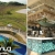 [Image: ¡Oceana Resort TODO INCLUIDO! ¡Paga Q1,999 en Lugar de Q3,040 por Estadía Familiar para 2 Adultos y 2 Niños (De 0 a 5 años) en Habitación Superior + Impuestos Incluidos!m]