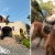 [Image: ¡Experiencias Únicas Te Esperan en Volcatenango! ¡Paga $5 en Lugar de $15 por 1 Entrada con Atracciones Ilimitadas: Sillas Voladoras, Escalada, Péndulo, Granjita, Canopy, Carrusel y Más!m]