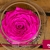 [Image: ¡Paga $20 en Lugar de $40 por Delicada Rosa Grande Preservada de Color a Elección y en Base de Cristal!m]